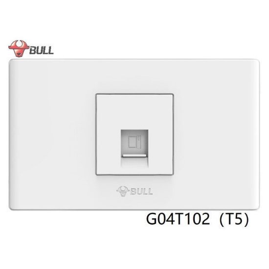 Picture of Bull 1 Gang Computer Modular Outlet Set (White), G04T102(T5)