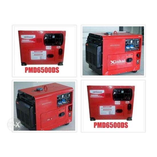 Picture of Diesel Generator PMD6500DS
