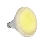 Omni LED Par 30 Lamps 10W
