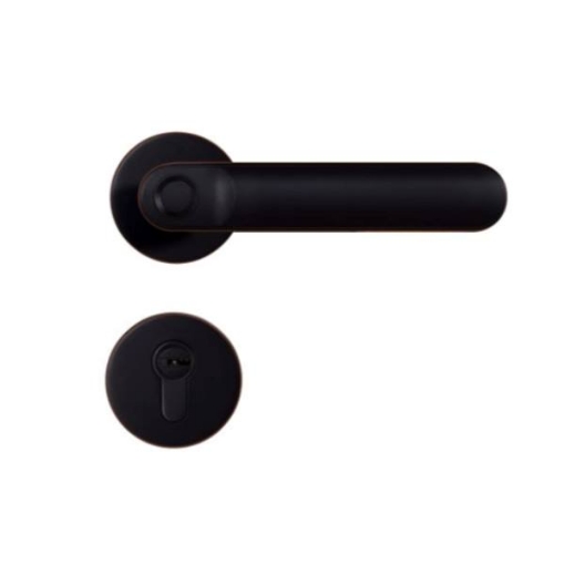 Picture of FINGERPRINT LEVERSET MORTISE TYPE -YLHYEFL7003